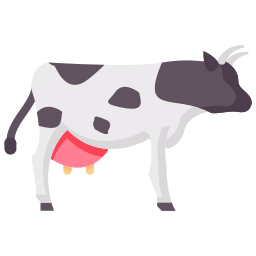 cattle